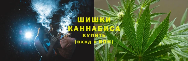 крисы Магас