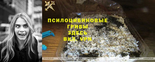 эйфоретик Белокуриха
