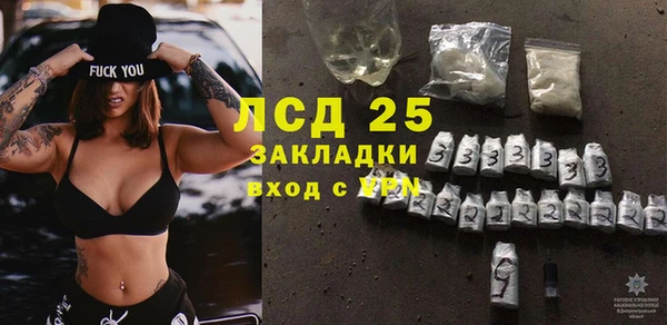 индика Богданович