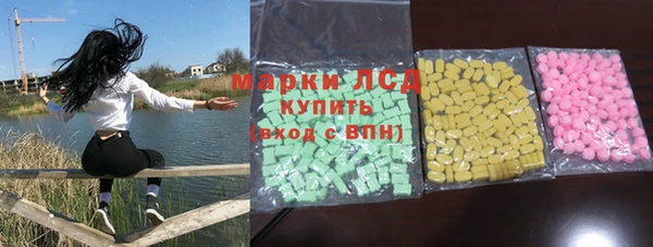 индика Богданович